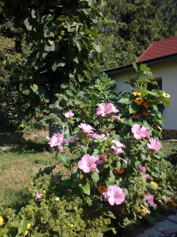Platanus Bed & Breakfast Beckov Luaran gambar