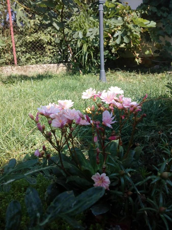 Platanus Bed & Breakfast Beckov Luaran gambar