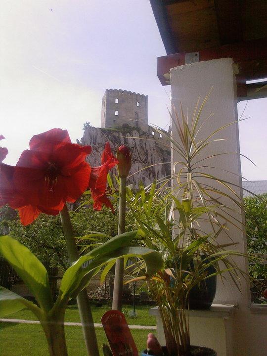 Platanus Bed & Breakfast Beckov Luaran gambar
